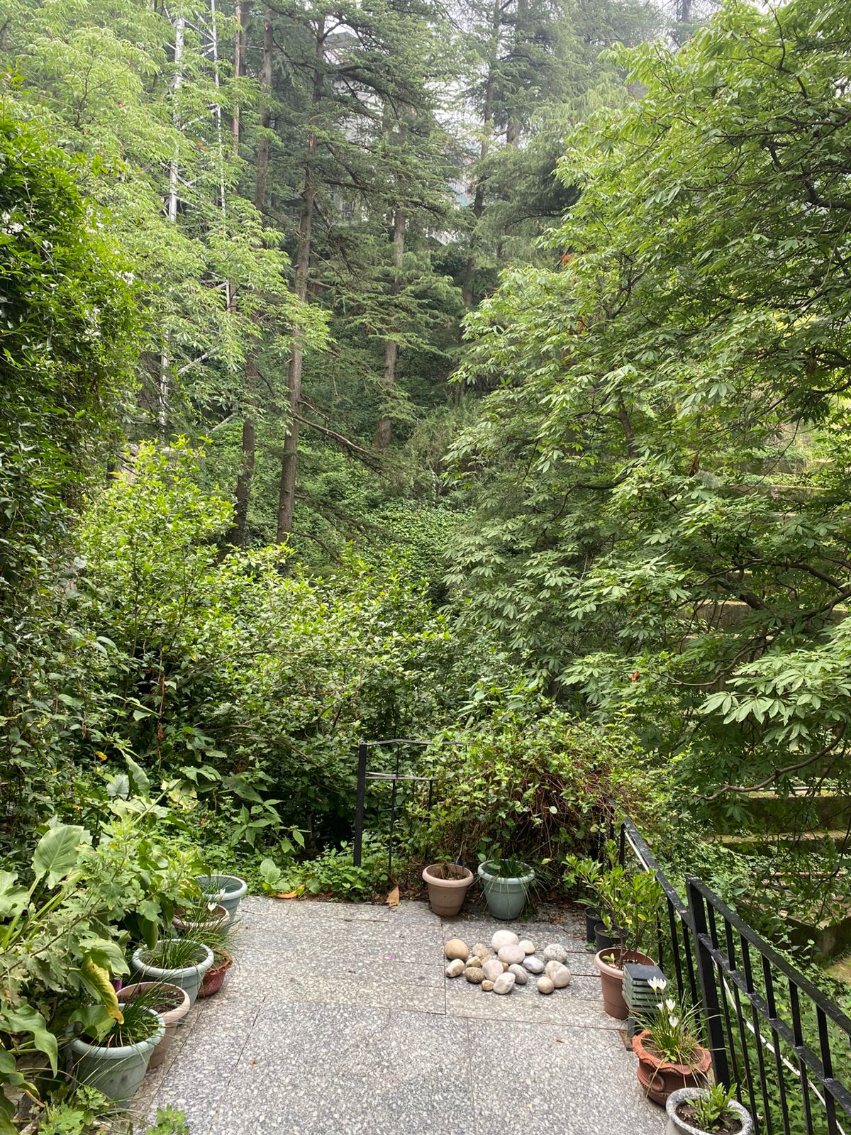 Garden and terrace view